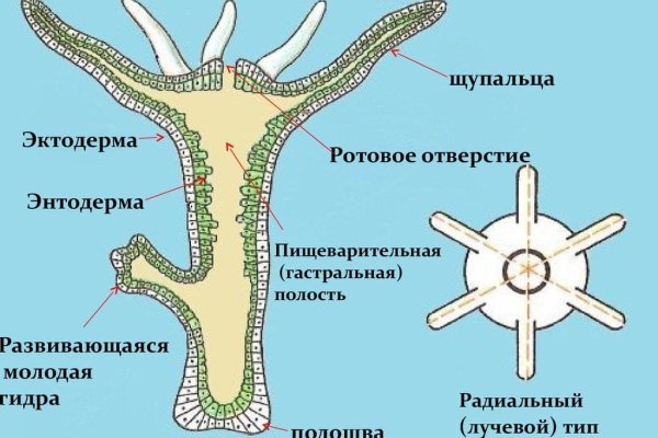 Кракен даркнет kraken014 com